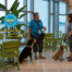 Two therapy dog handlers hold a conversation while keeping their dogs 2-feet apart.
