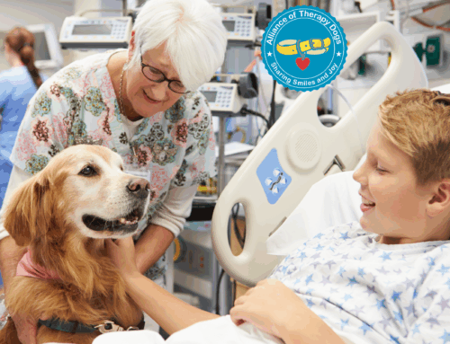 Alliance of Therapy Dogs Facility Highlight: STL Healthcare System