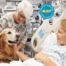 A handler and their dog visit a patient child in a hospital bed