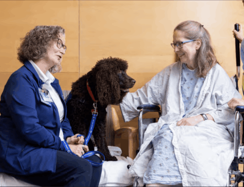 Alliance of Therapy Dogs Facility Highlight: Mayo Clinic