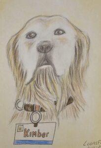 A portrait of Kimber the dog from an inmate