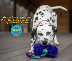 A Dalmatian runs towards the camera and is about to bite a furry purple toy on the ground