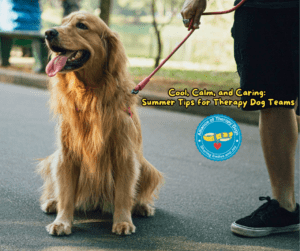 A golden retriever sits panting in the summer heat next to it's handler