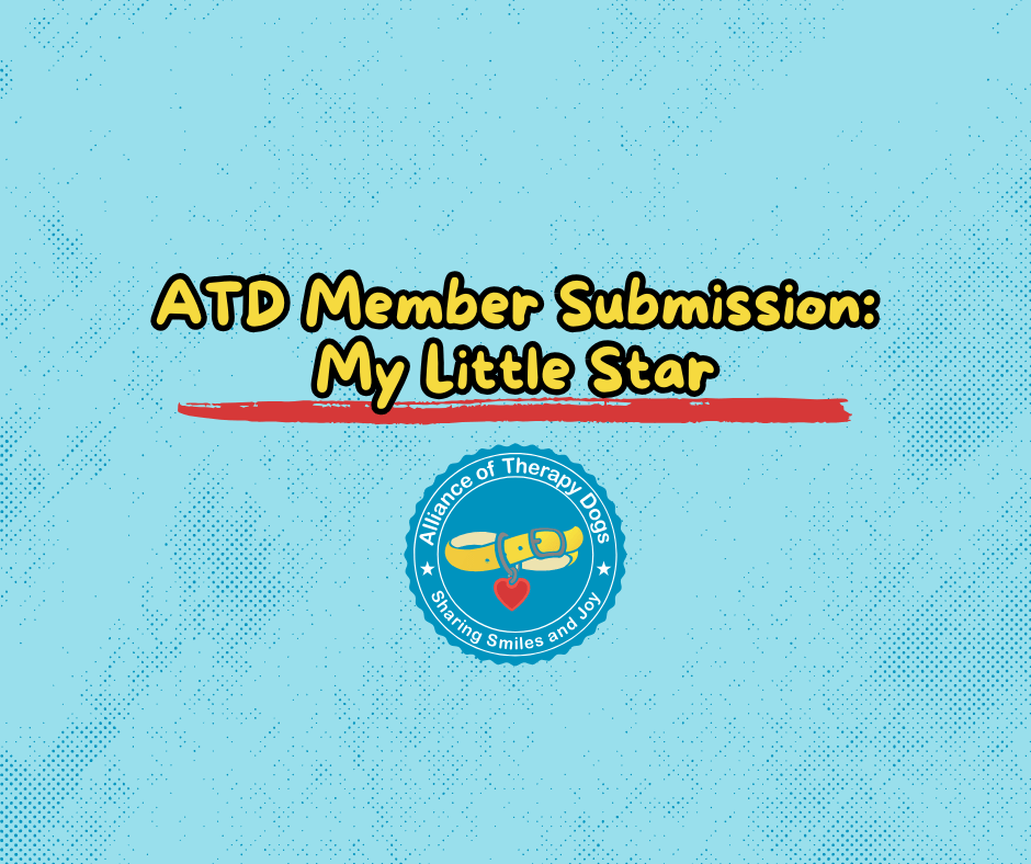ATD Member Submissions: My Little Star